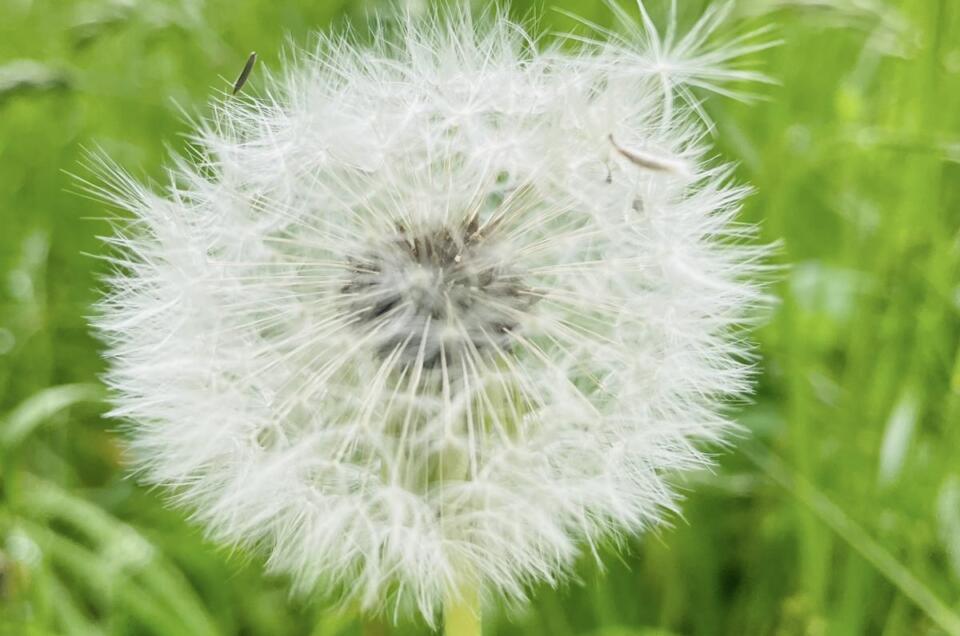 Systemisches Aufstellungsseminar – Verbinde dich mit dem Stärkenden