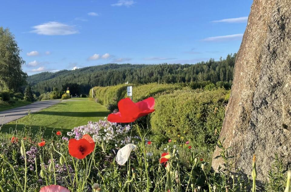Manchmal ist es Zeit sich den Spuren der Seele an die Fersen zu heften